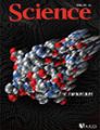 link to journal