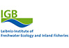 IGB logo
